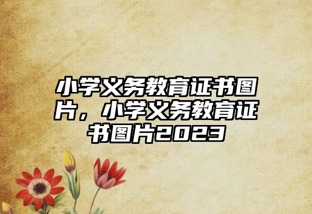 小學義務教育證書圖片，小學義務教育證書圖片2023