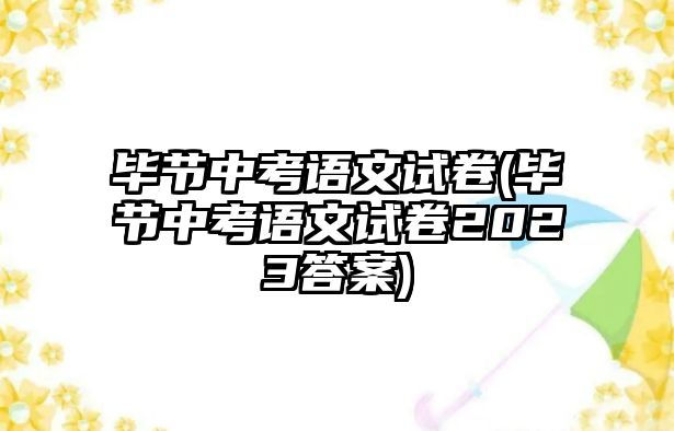 畢節(jié)中考語(yǔ)文試卷(畢節(jié)中考語(yǔ)文試卷2023答案)