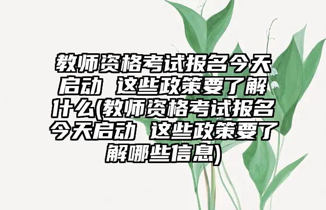 教師資格考試報(bào)名今天啟動 這些政策要了解什么(教師資格考試報(bào)名今天啟動 這些政策要了解哪些信息)