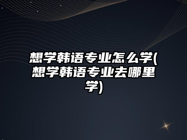 想學(xué)韓語專業(yè)怎么學(xué)(想學(xué)韓語專業(yè)去哪里學(xué))