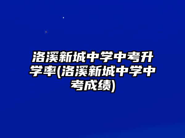 洛溪新城中學中考升學率(洛溪新城中學中考成績)