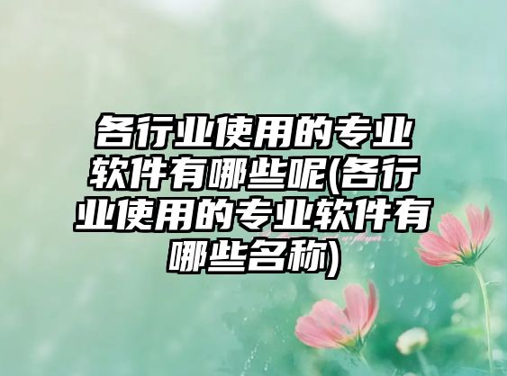 各行業(yè)使用的專業(yè)軟件有哪些呢(各行業(yè)使用的專業(yè)軟件有哪些名稱)