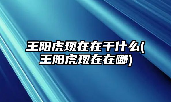 王陽(yáng)虎現(xiàn)在在干什么(王陽(yáng)虎現(xiàn)在在哪)