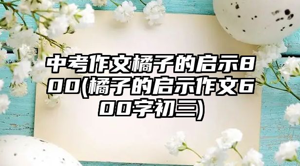 中考作文橘子的啟示800(橘子的啟示作文600字初三)