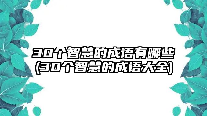 30個智慧的成語有哪些(30個智慧的成語大全)