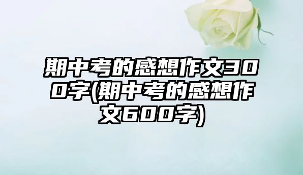 期中考的感想作文300字(期中考的感想作文600字)