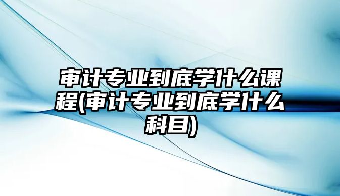 審計專業(yè)到底學(xué)什么課程(審計專業(yè)到底學(xué)什么科目)