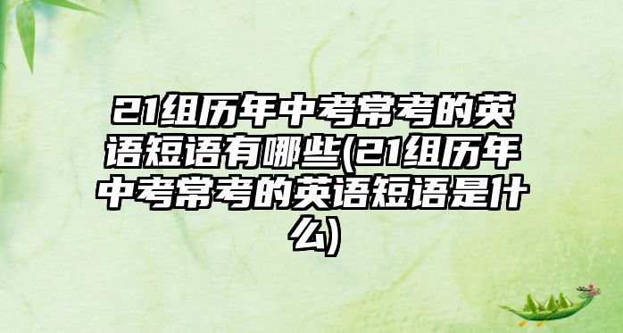 21組歷年中考?？嫉挠⒄Z(yǔ)短語(yǔ)有哪些(21組歷年中考?？嫉挠⒄Z(yǔ)短語(yǔ)是什么)