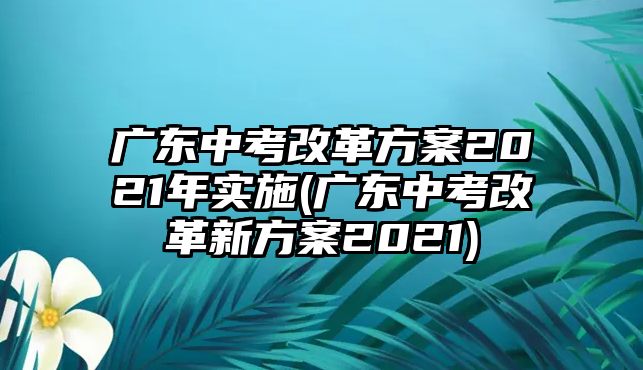 廣東中考改革方案2021年實(shí)施(廣東中考改革新方案2021)