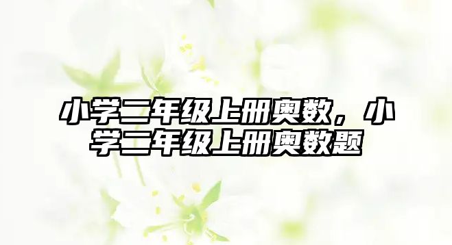 小學(xué)二年級(jí)上冊(cè)奧數(shù)，小學(xué)二年級(jí)上冊(cè)奧數(shù)題