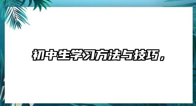 初中生學(xué)習(xí)方法與技巧，