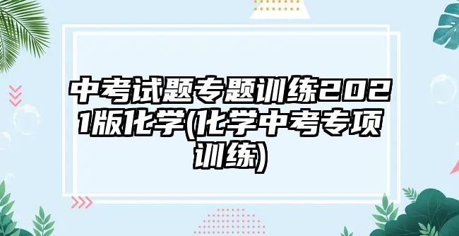 中考試題專題訓(xùn)練2021版化學(xué)(化學(xué)中考專項(xiàng)訓(xùn)練)