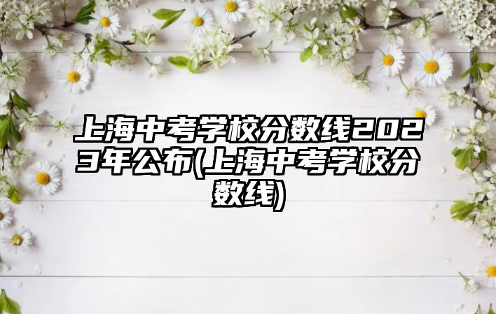 上海中考學校分數線2023年公布(上海中考學校分數線)